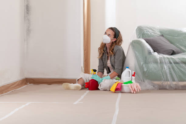 Reliable Mold Remediation contractor in Beaverton, OR by WQB Mold Removal